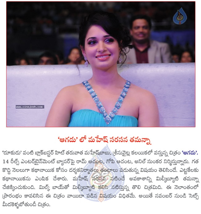 tamanna paired with maheshbabu,tamanna selected for aagadu,aagadu from next month,tamanna  tamanna paired with maheshbabu, tamanna selected for aagadu, aagadu from next month, tamanna